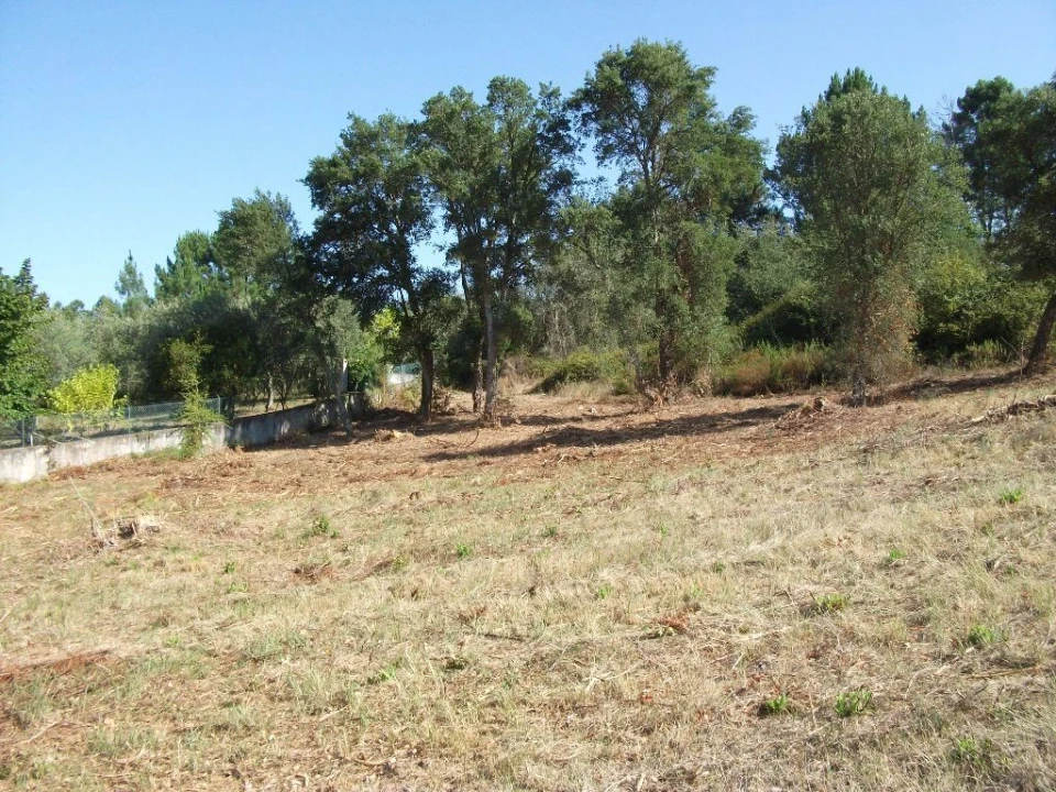 Terreno Agricola ou Rústico para Venda em Eiras e São Paulo de Frades Foto 5