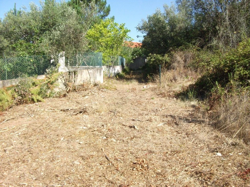 Terreno Agricola ou Rústico para Venda em Eiras e São Paulo de Frades Foto 7