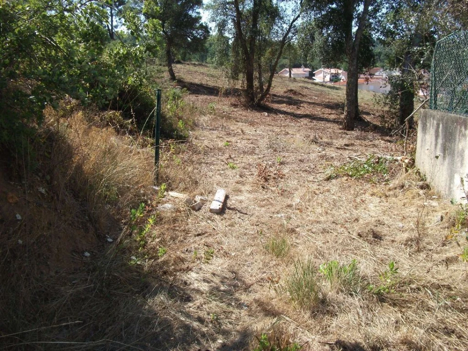 Terreno Agricola ou Rústico para Venda em Eiras e São Paulo de Frades Foto 8