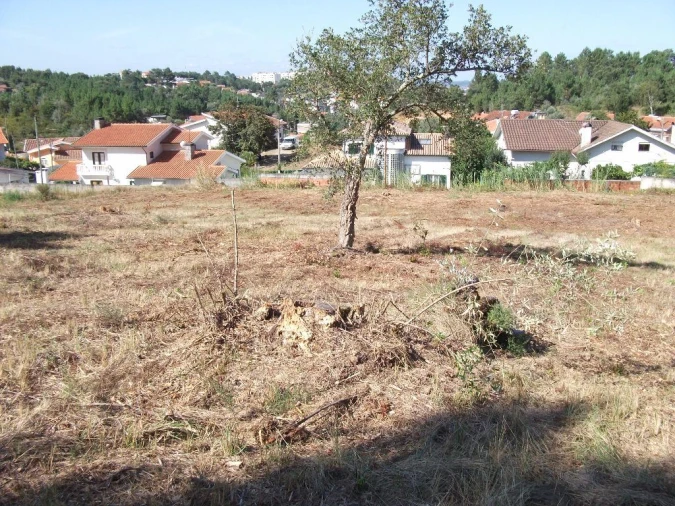 Terreno Agricola ou Rústico para Venda em Eiras e São Paulo de Frades Foto 4