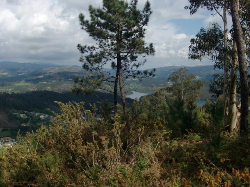 Terreno Agricola ou Rústico para Venda em Anissó e Soutelo Foto 4