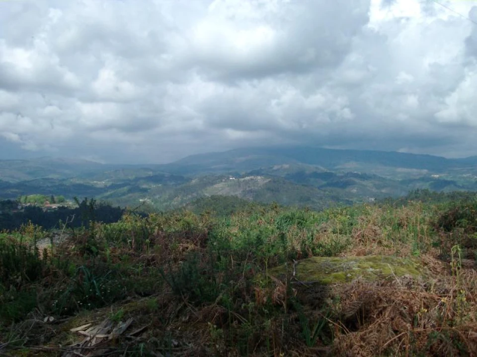 Terreno Agricola ou Rústico para Venda em Anissó e Soutelo Foto 5
