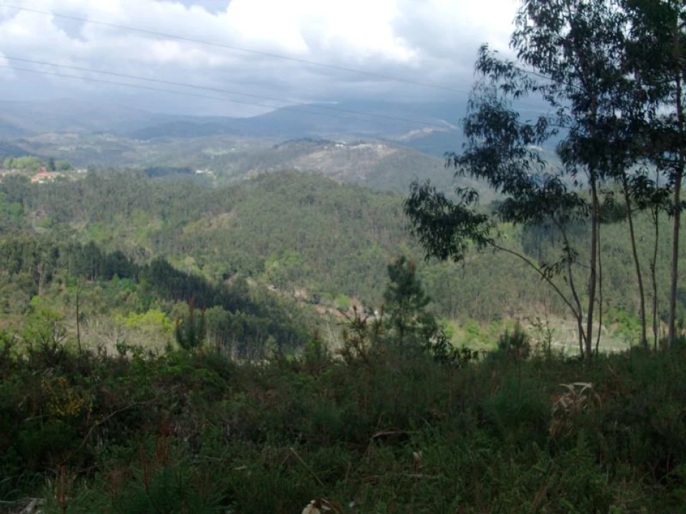 Terreno Agricola ou Rústico para Venda em Anissó e Soutelo Foto 9