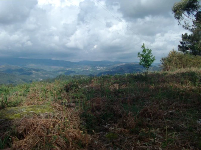 Terreno Agricola ou Rústico para Venda em Anissó e Soutelo Foto 1