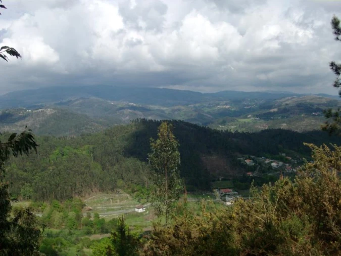Terreno Agricola ou Rústico para Venda em Anissó e Soutelo Foto 15