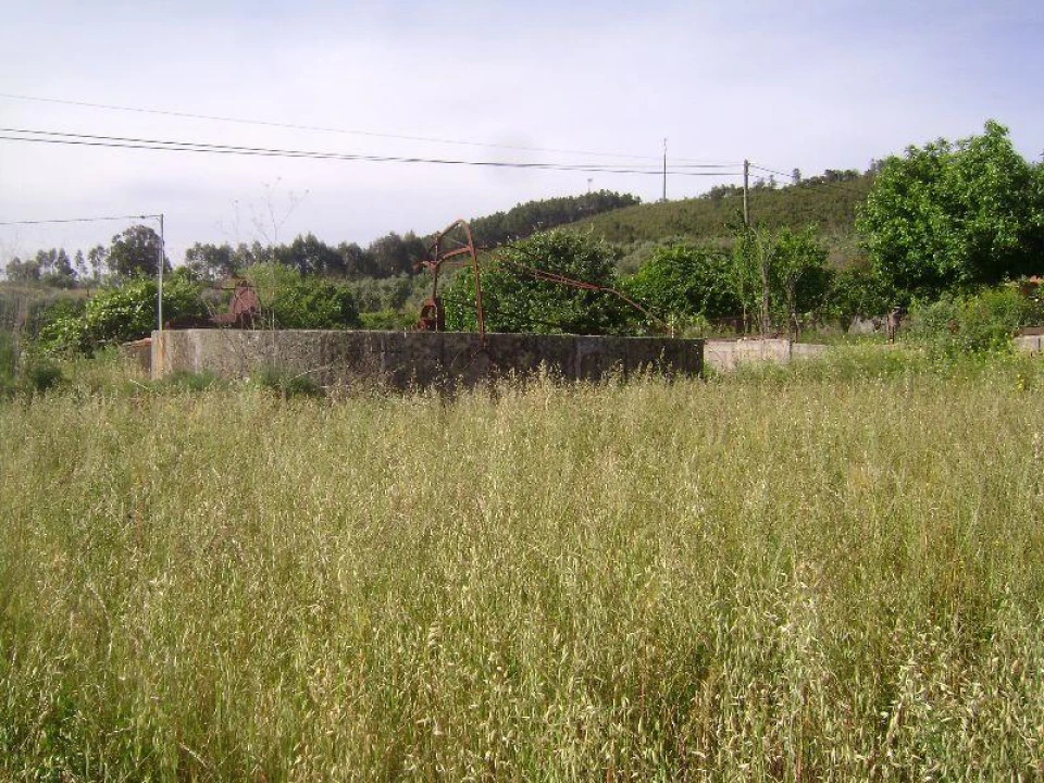 Terreno Misto para Venda em Castelo Branco Foto 7