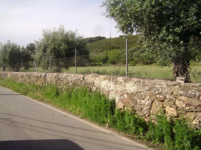 Terreno Misto para Venda em Castelo Branco Foto 2
