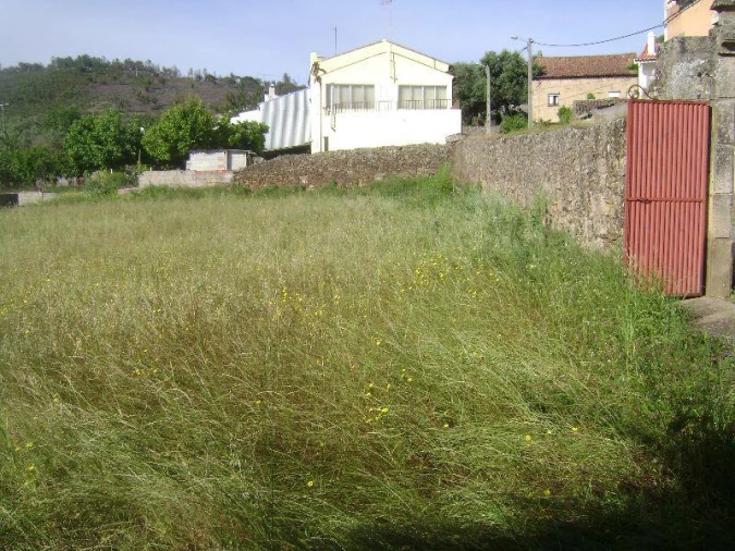 Terreno Misto para Venda em Castelo Branco Foto 5