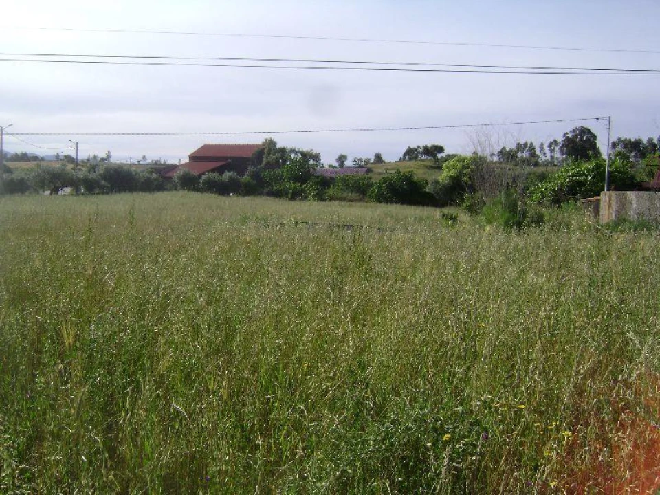 Terreno Misto para Venda em Castelo Branco Foto 8