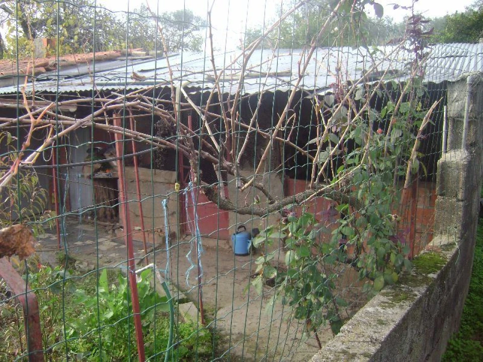 Terreno Agricola ou Rústico para Venda em Salgueiro do Campo Foto 4
