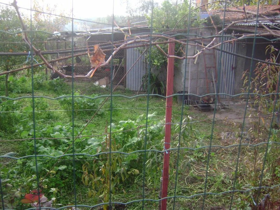 Terreno Agricola ou Rústico para Venda em Salgueiro do Campo Foto 6