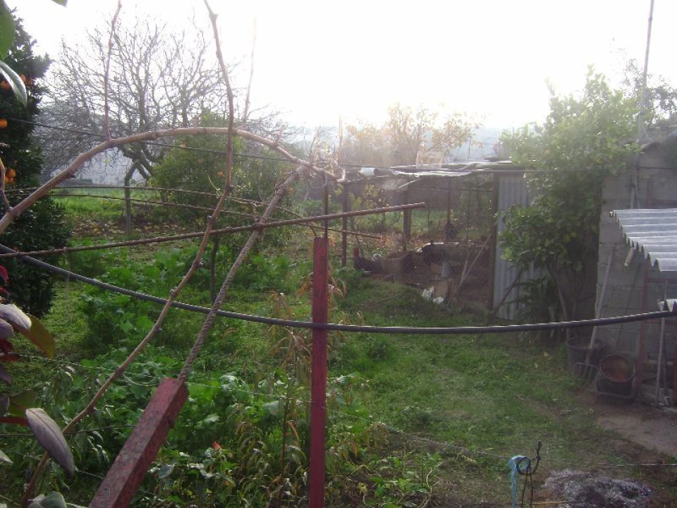 Terreno Agricola ou Rústico para Venda em Salgueiro do Campo Foto 8