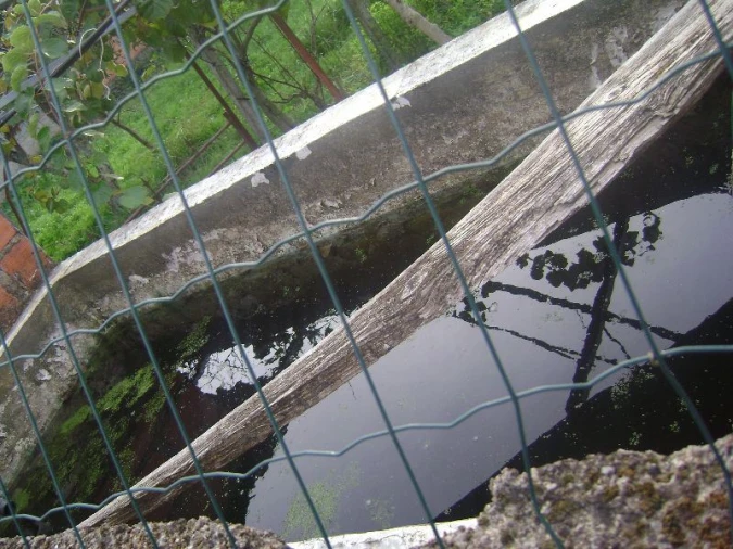 Terreno Agricola ou Rústico para Venda em Salgueiro do Campo Foto 2