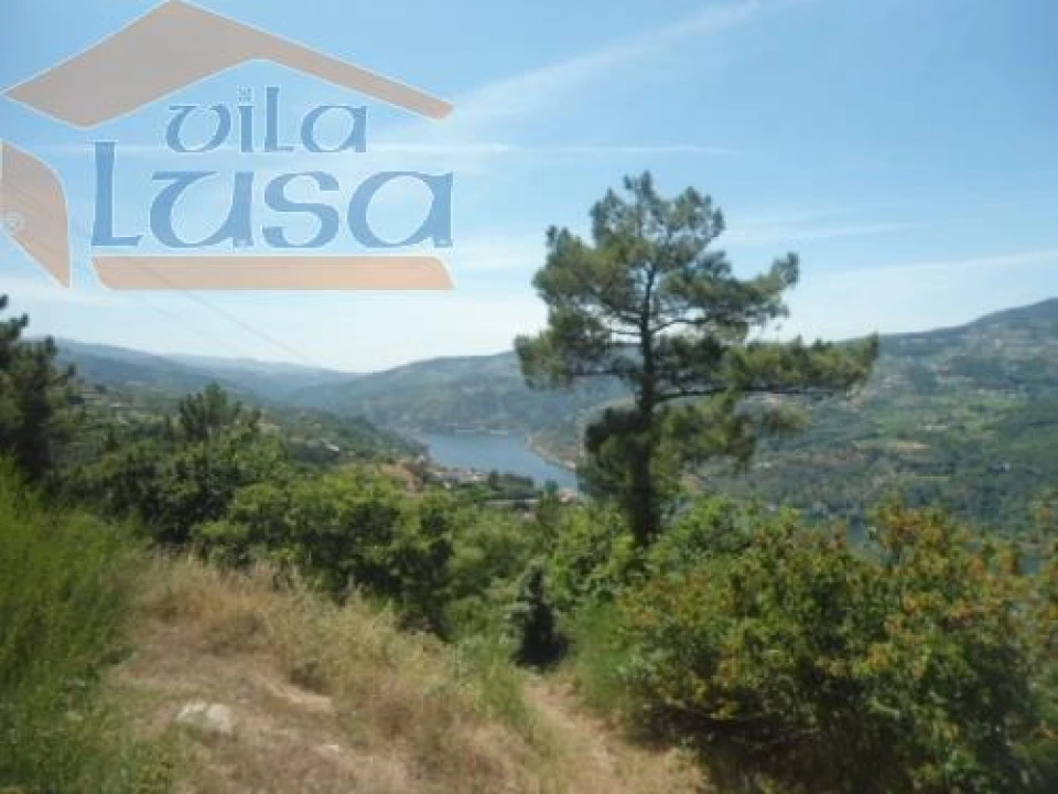 Quinta T6 para Venda em Anreade e São Romão de Aregos Foto 12