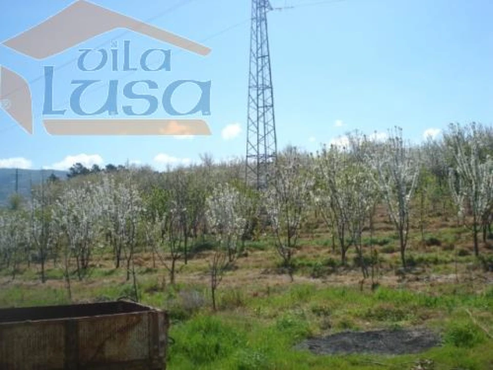 Quinta T6 para Venda em Anreade e São Romão de Aregos Foto 19