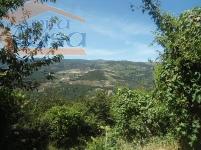 Quinta T6 para Venda em Anreade e São Romão de Aregos Foto 10