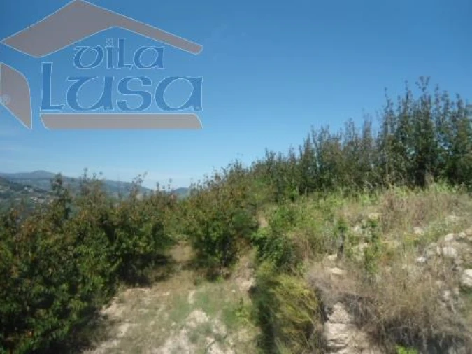 Quinta T6 para Venda em Anreade e São Romão de Aregos Foto 14