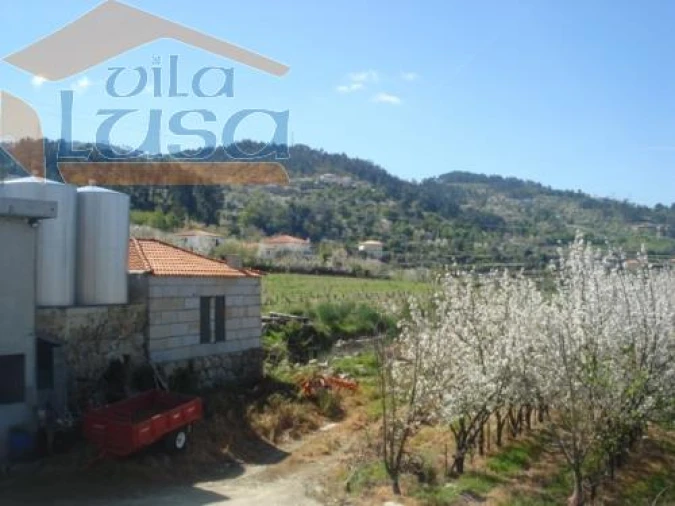 Quinta T6 para Venda em Anreade e São Romão de Aregos Foto 15