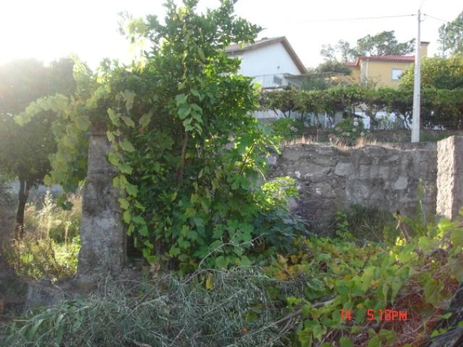 Negócio para Venda em Cervães Foto 2