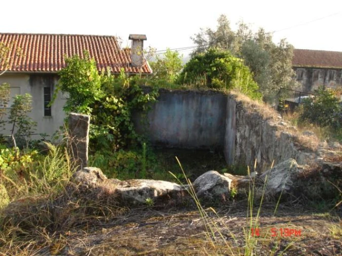 Negócio para Venda em Cervães Foto 1