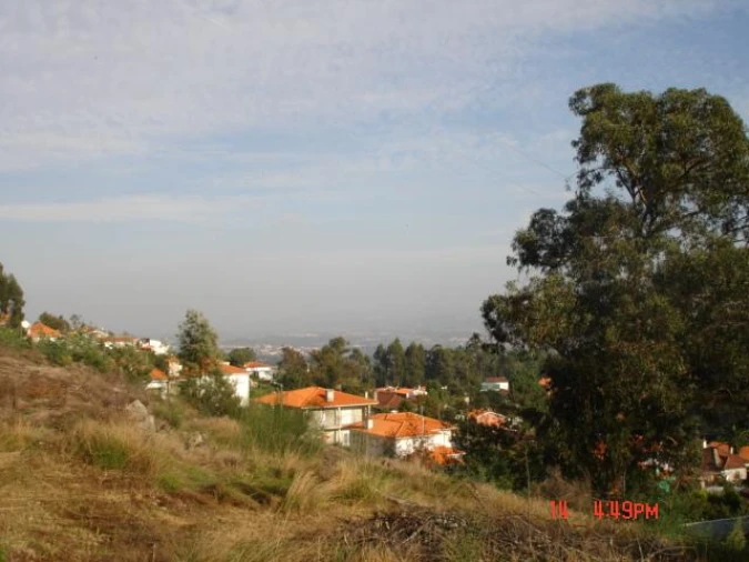 Negócio para Venda em Cervães Foto 7