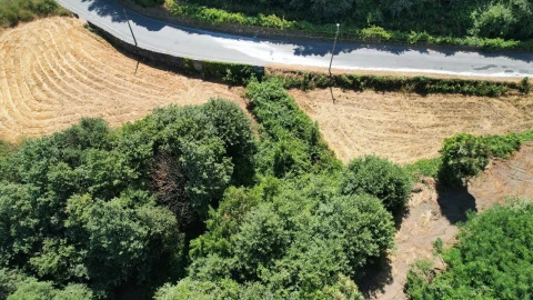 Moradia T5 para Venda em Cristelo