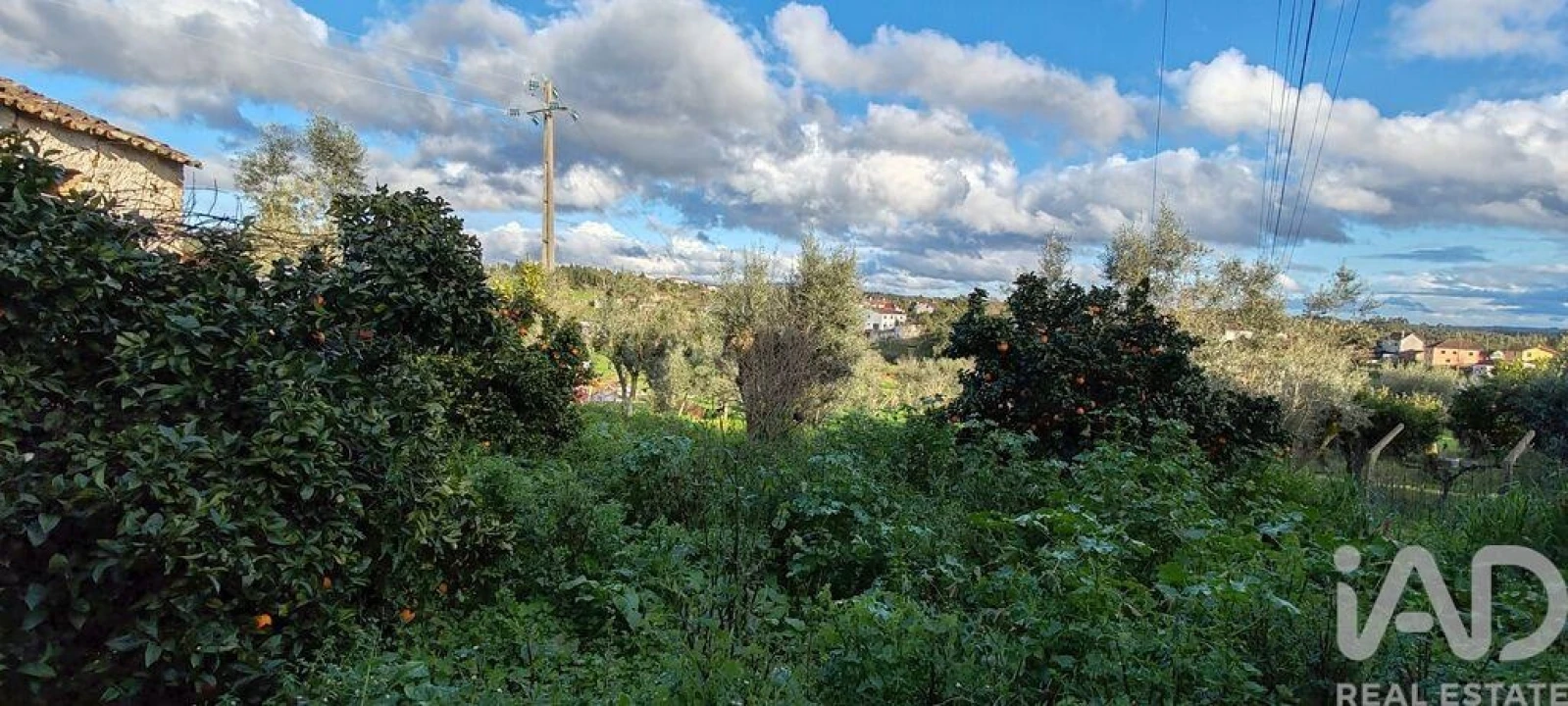 Moradia para Venda em Graça Foto 27
