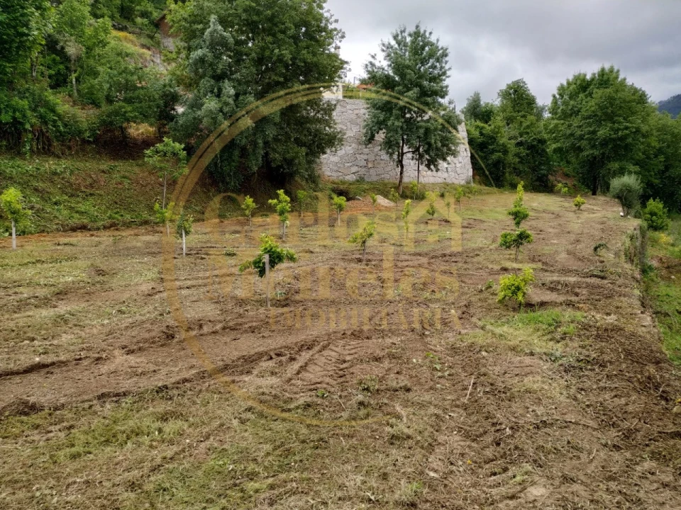 Terreno para Venda em Gondoriz Foto 14