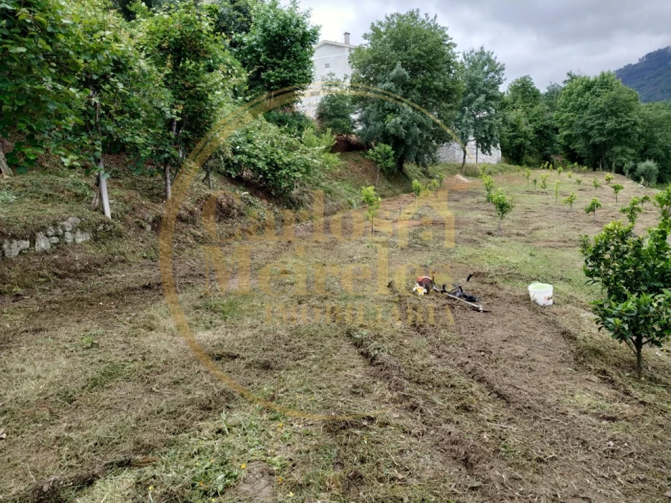 Terreno para Venda em Gondoriz Foto 15