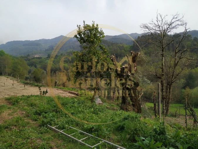 Terreno para Venda em Gondoriz Foto 2