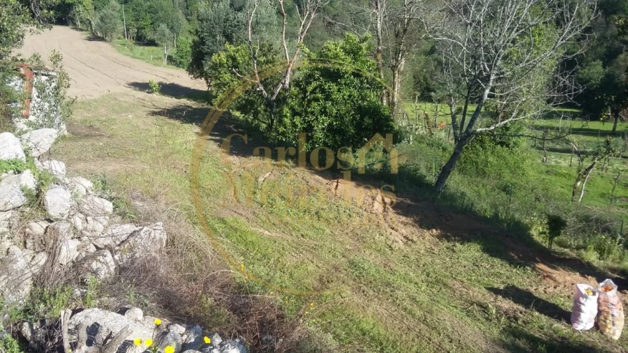Terreno para Venda em Gondoriz Foto 4