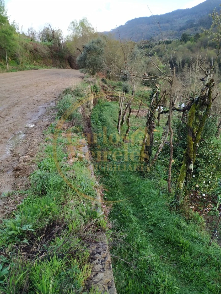 Terreno para Venda em Gondoriz Foto 10