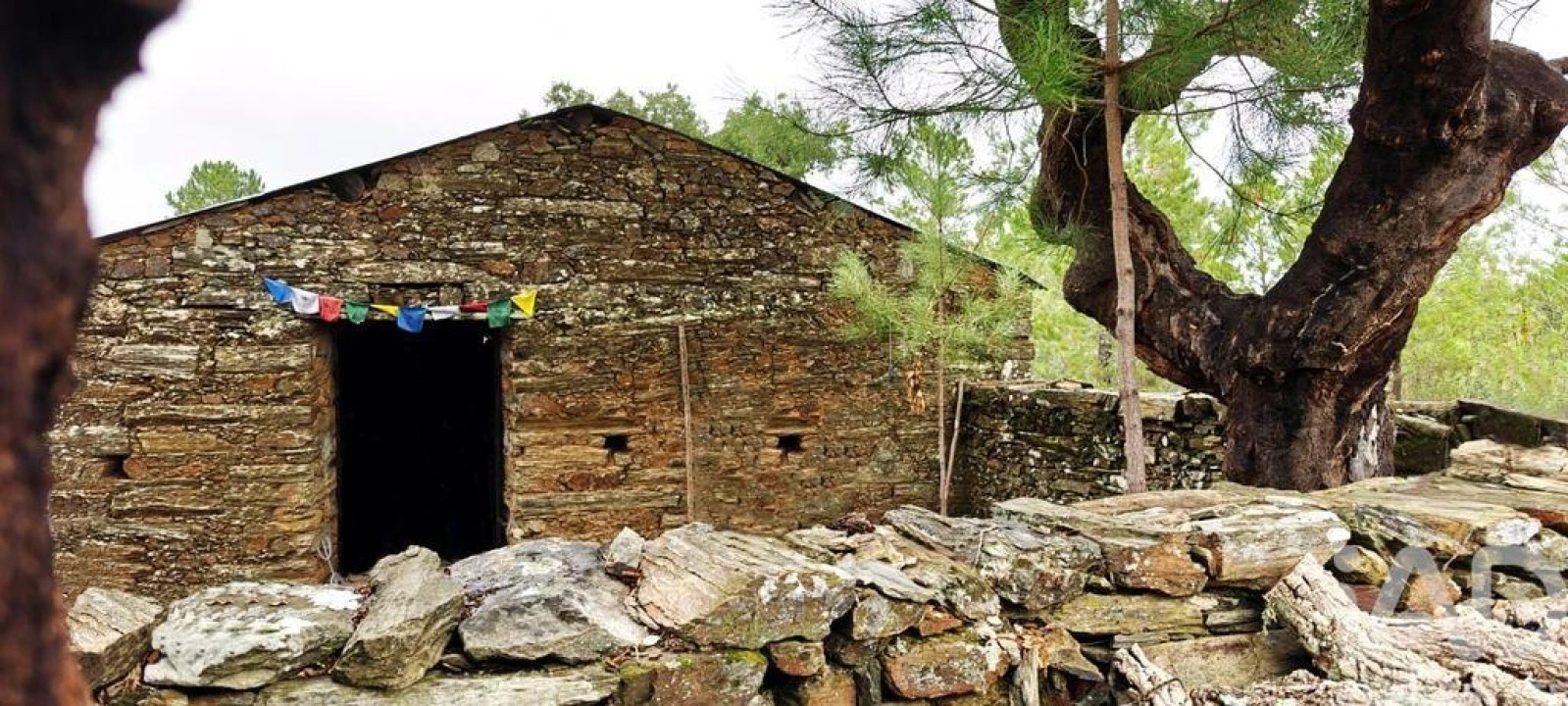 Quinta para Venda em Benquerenças Foto 1