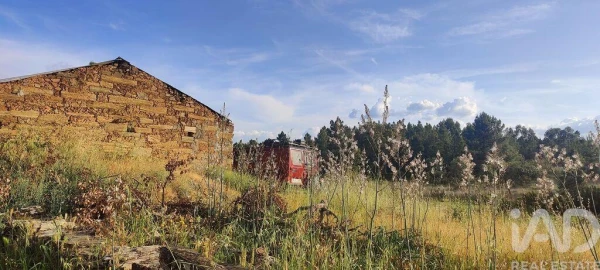 Quinta para Venda em Benquerenças