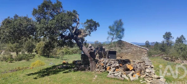 Quinta para Venda em Benquerenças