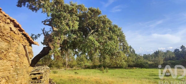 Quinta para Venda em Benquerenças