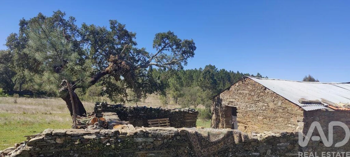 Quinta para Venda em Benquerenças Foto 8