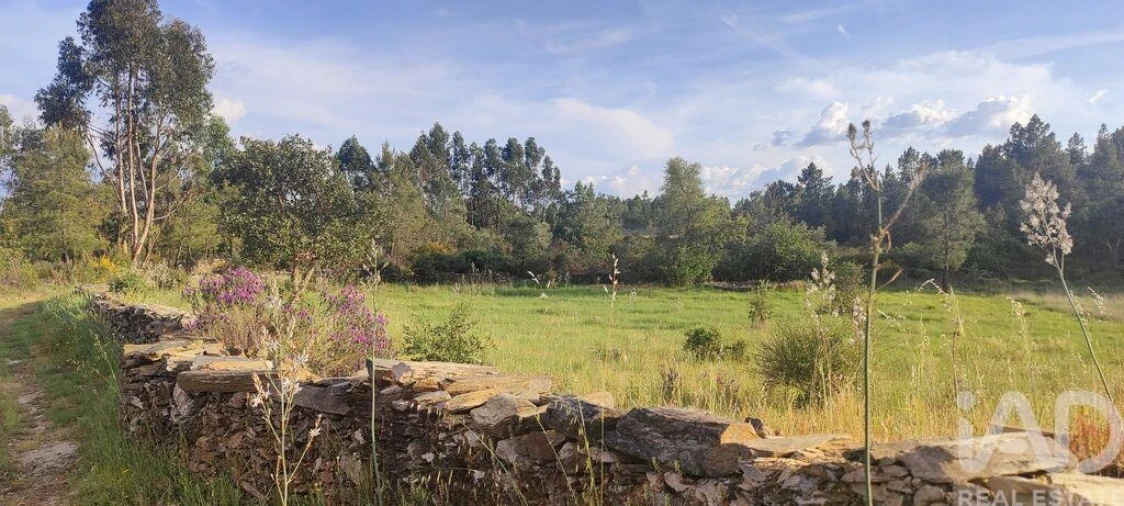 Quinta para Venda em Benquerenças Foto 2