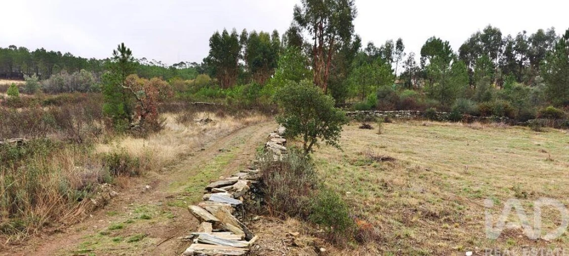 Quinta para Venda em Benquerenças Foto 6