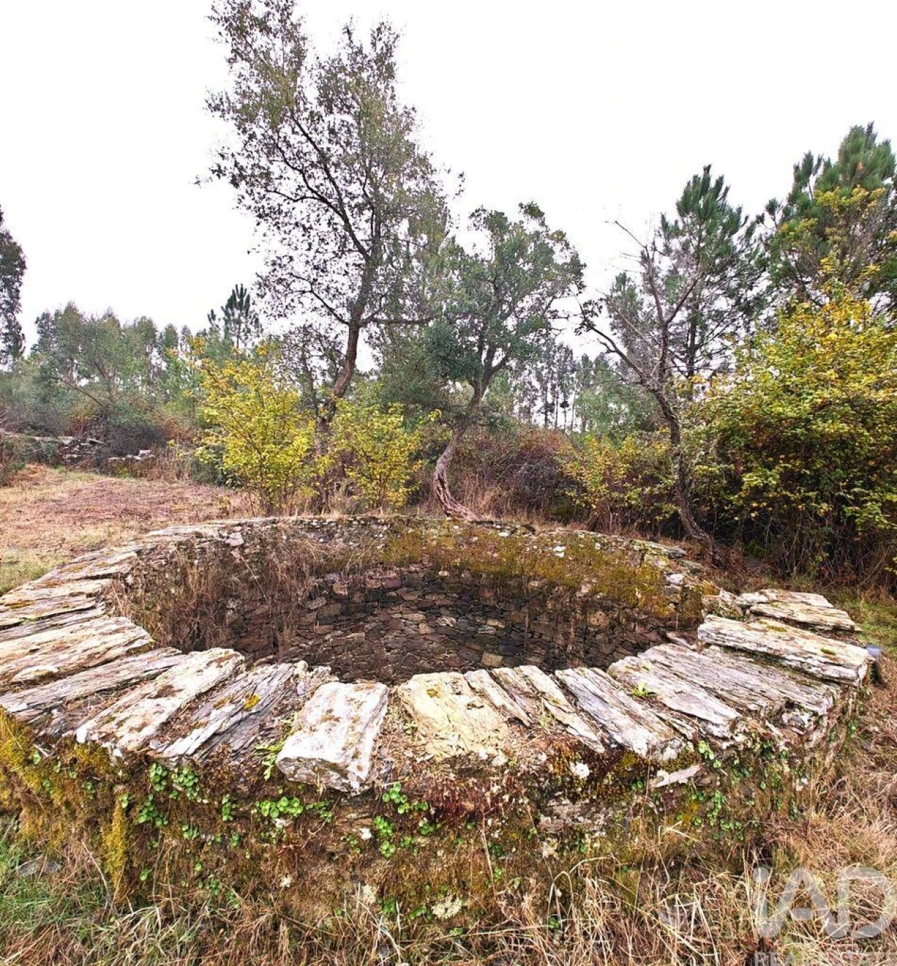 Quinta para Venda em Benquerenças Foto 3
