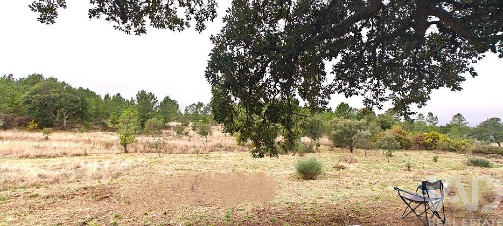 Quinta para Venda em Benquerenças Foto 2