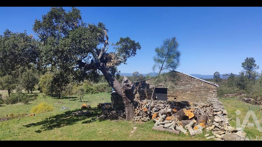 Quinta para Venda em Benquerenças