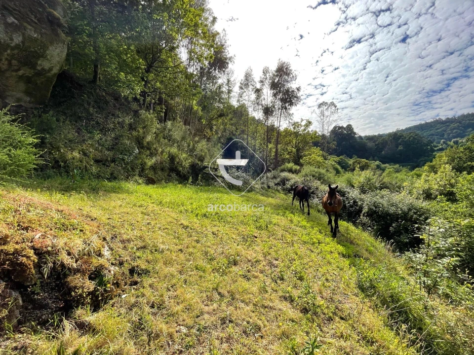 Moradia T3 para Venda em Rio Frio Foto 51