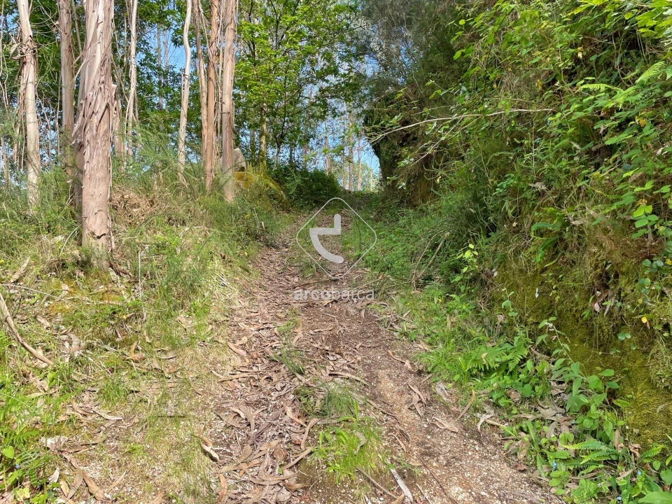 Moradia T3 para Venda em Rio Frio Foto 52