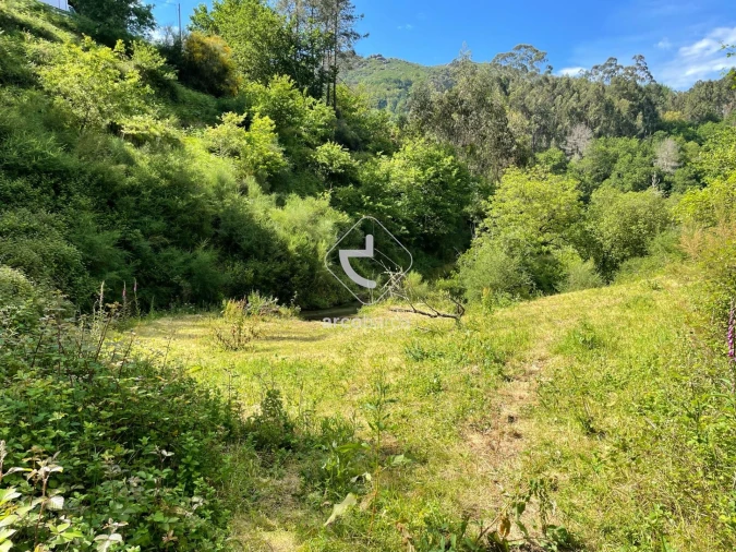 Moradia T3 para Venda em Rio Frio Foto 39