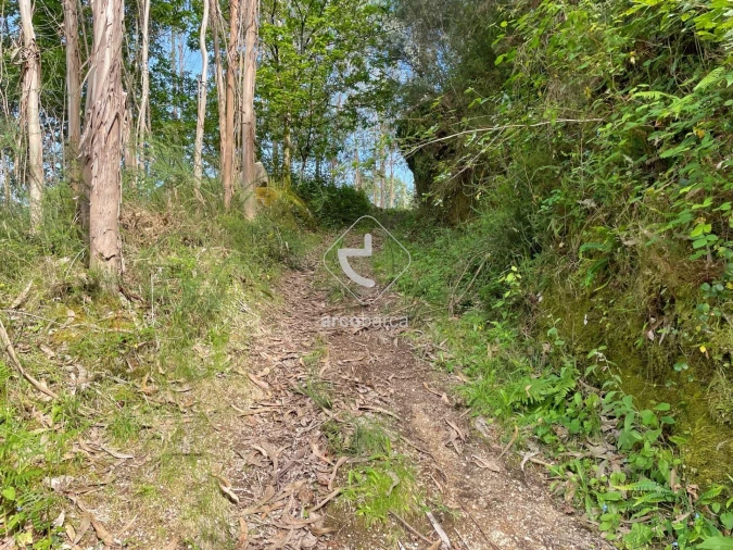 Moradia T3 para Venda em Rio Frio Foto 52