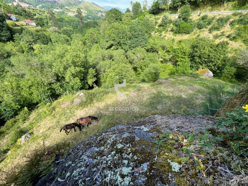 Moradia T3 para Venda em Rio Frio Foto 43