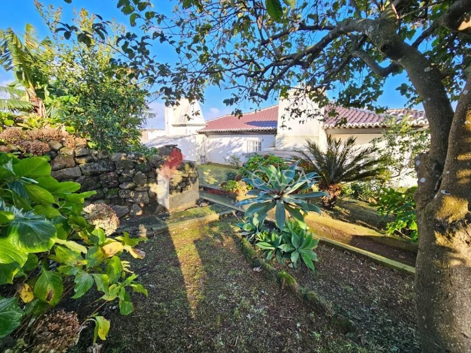 Prédio para Venda em Fonte do Bastardo Foto 32