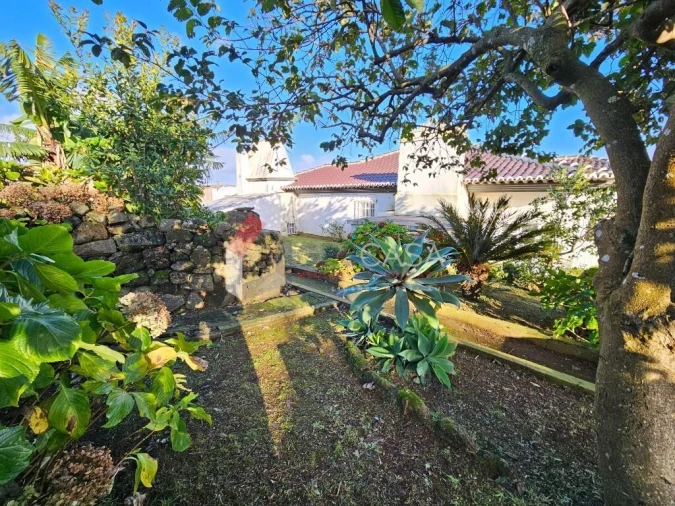 Prédio para Venda em Fonte do Bastardo Foto 32