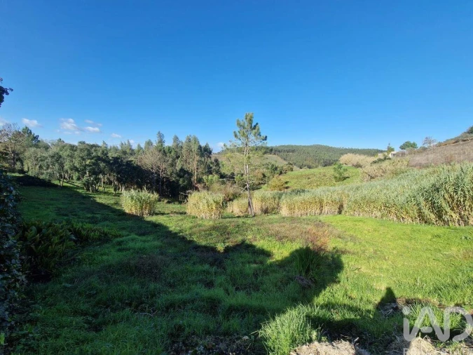 Terreno para Venda em Cadaval e Pêro Moniz Foto 7